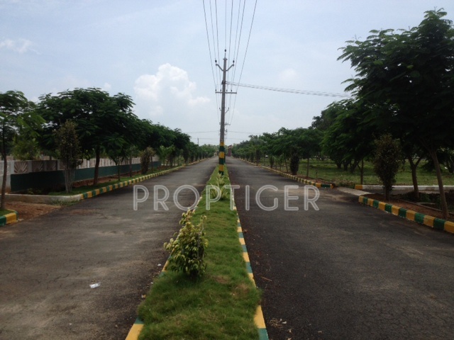 Images for Elevation of NSR Alankrita IV