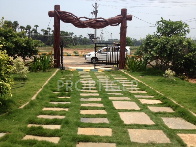 Images for Elevation of NSR Alankrita IV