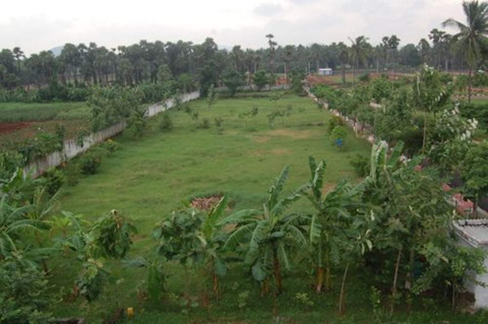 Images for Main Other of Legend Crest Phase 2