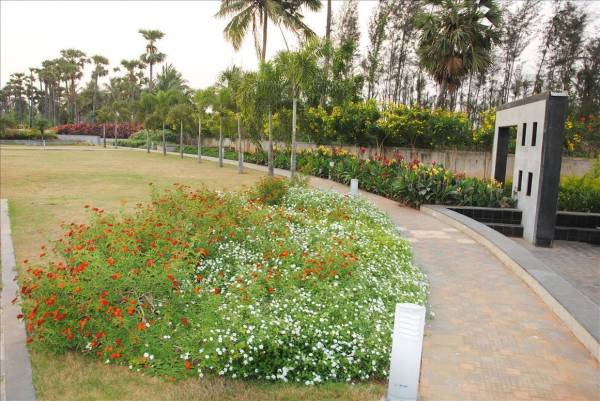 Images for Main Other of Legend Crest Phase 2