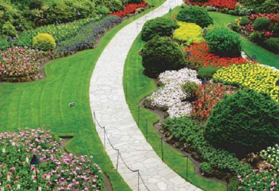 Images for Amenities of Purva Oceana