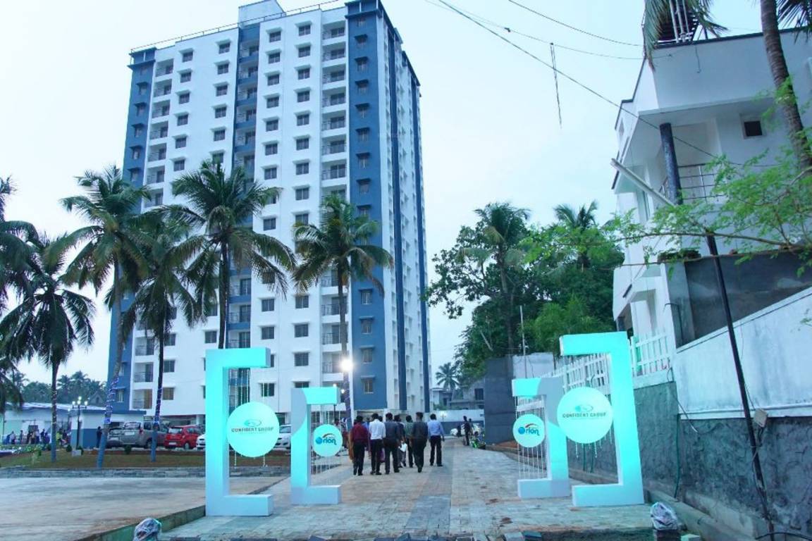 Images for Elevation of Confident Orion