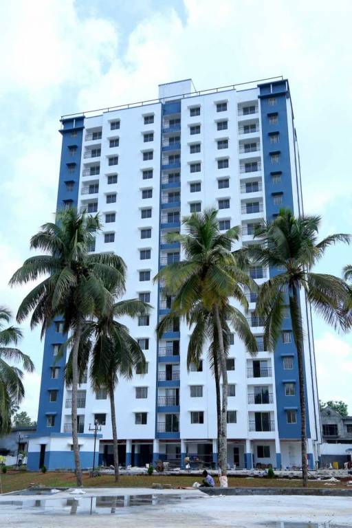 Images for Elevation of Confident Orion