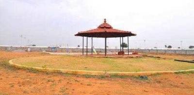 Elevation rainseed Elevation