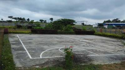 Others rainseed Others