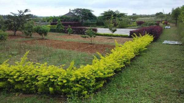 Others rainseed Others