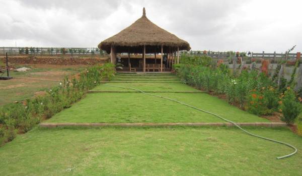 Others rainseed Others