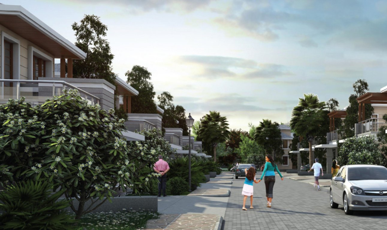 Images for Elevation of Prestige Silver Springs