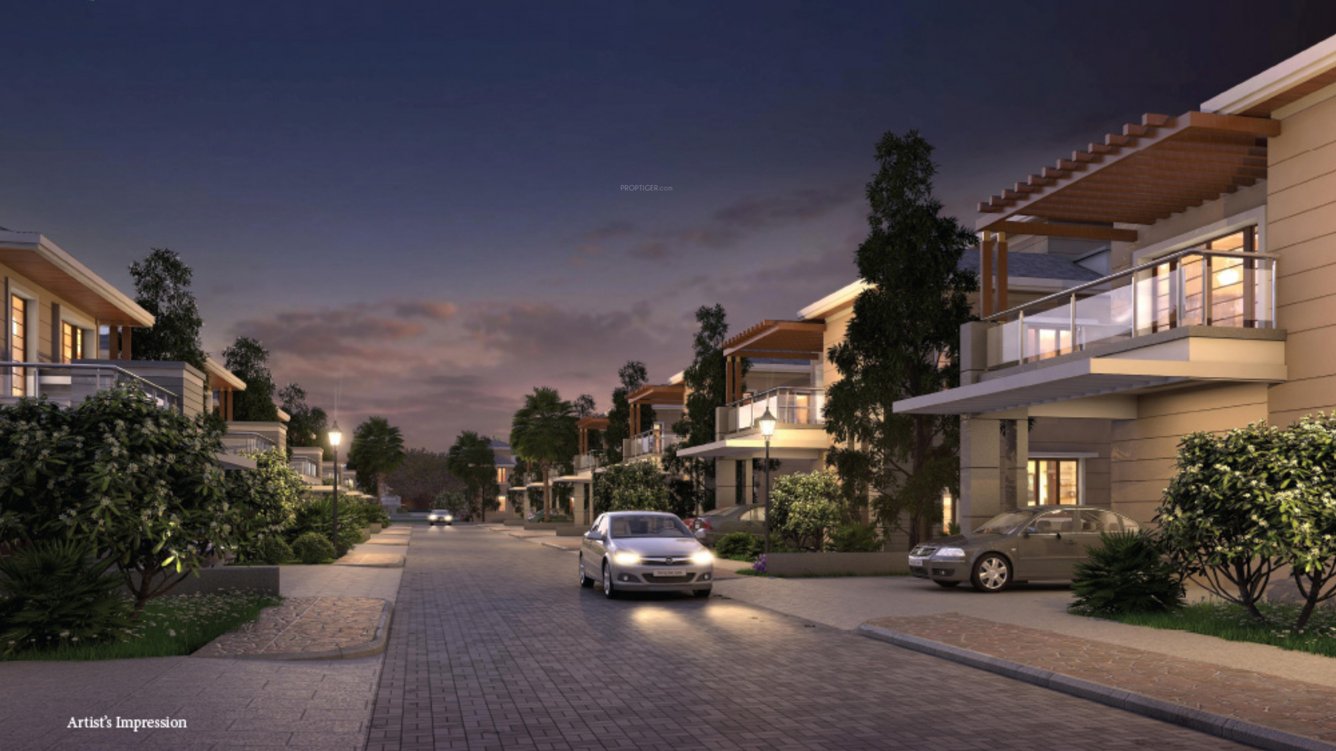 Images for Elevation of Prestige Silver Springs