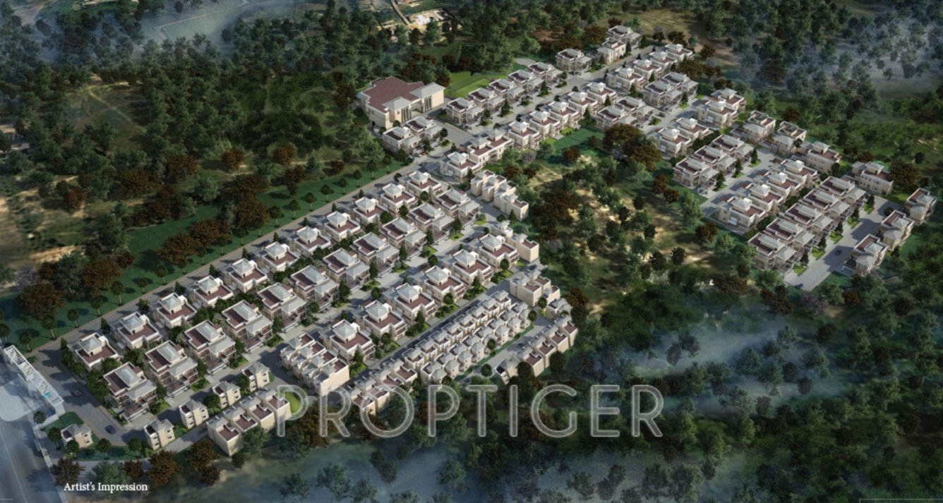 Images for Elevation of Prestige Silver Springs