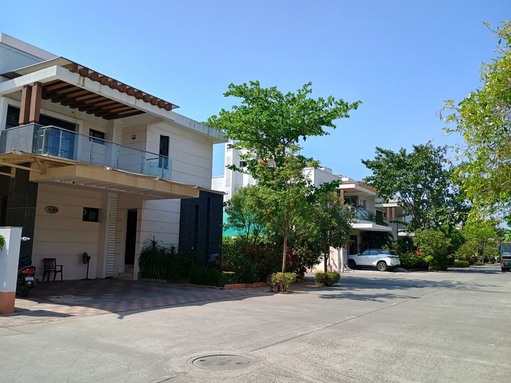  silver springs Elevation