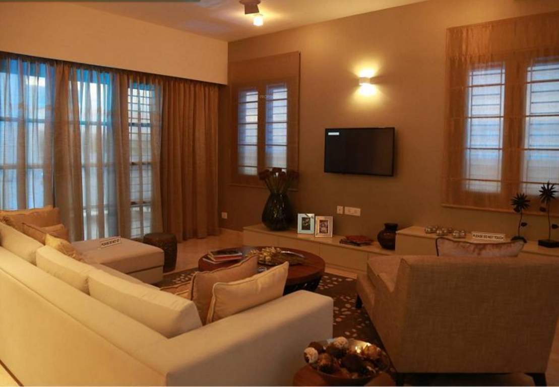  silver springs Images for Main Other of Prestige Silver Springs