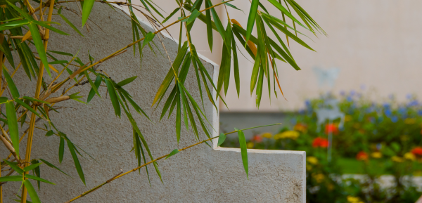 Images for Amenities of Spectra Sylvan