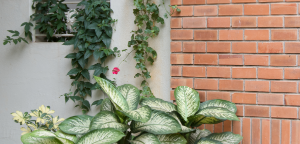 Images for Amenities of Spectra Sylvan