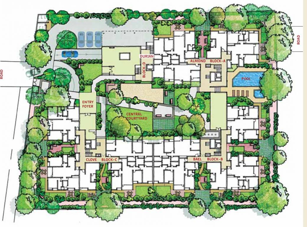 raintree Master Plan