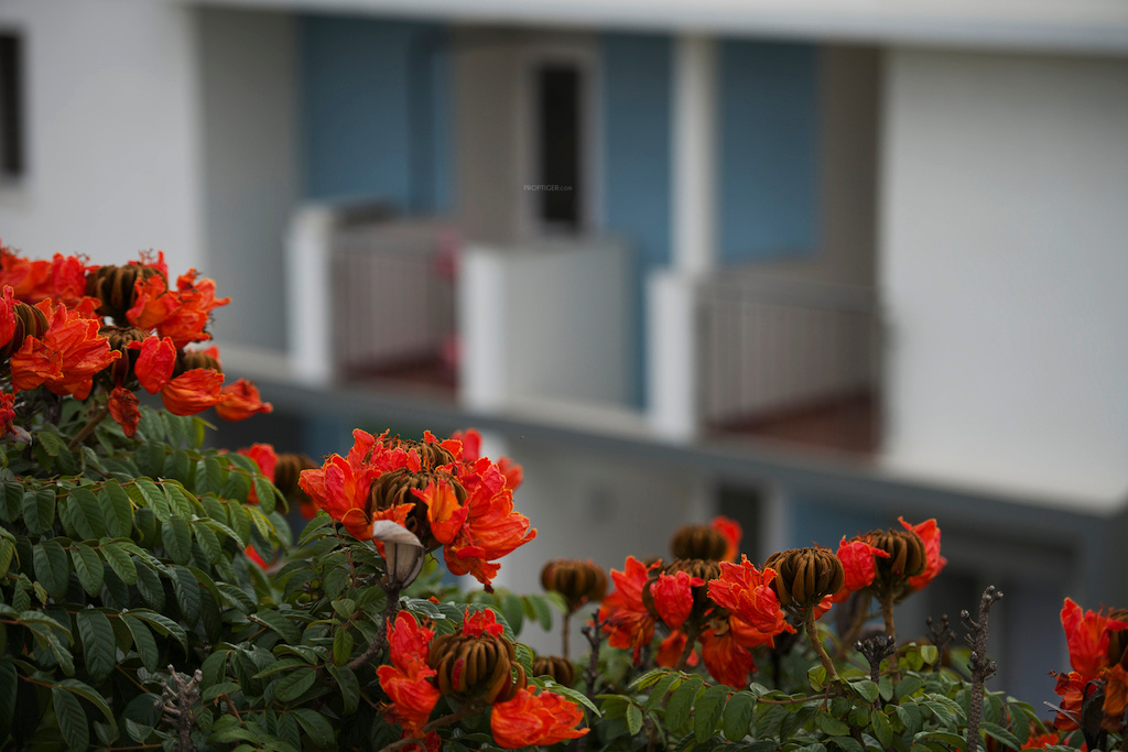 Images for amenities