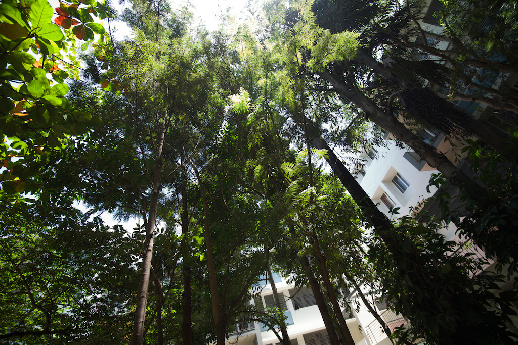 Images for amenities