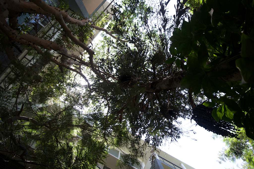 Images for amenities