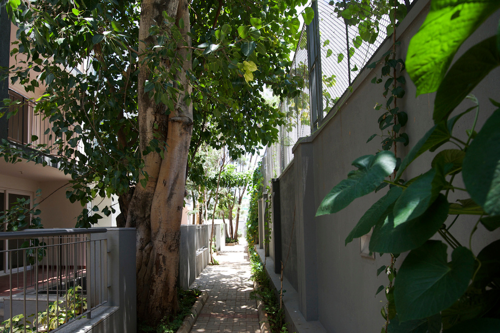 Images for amenities