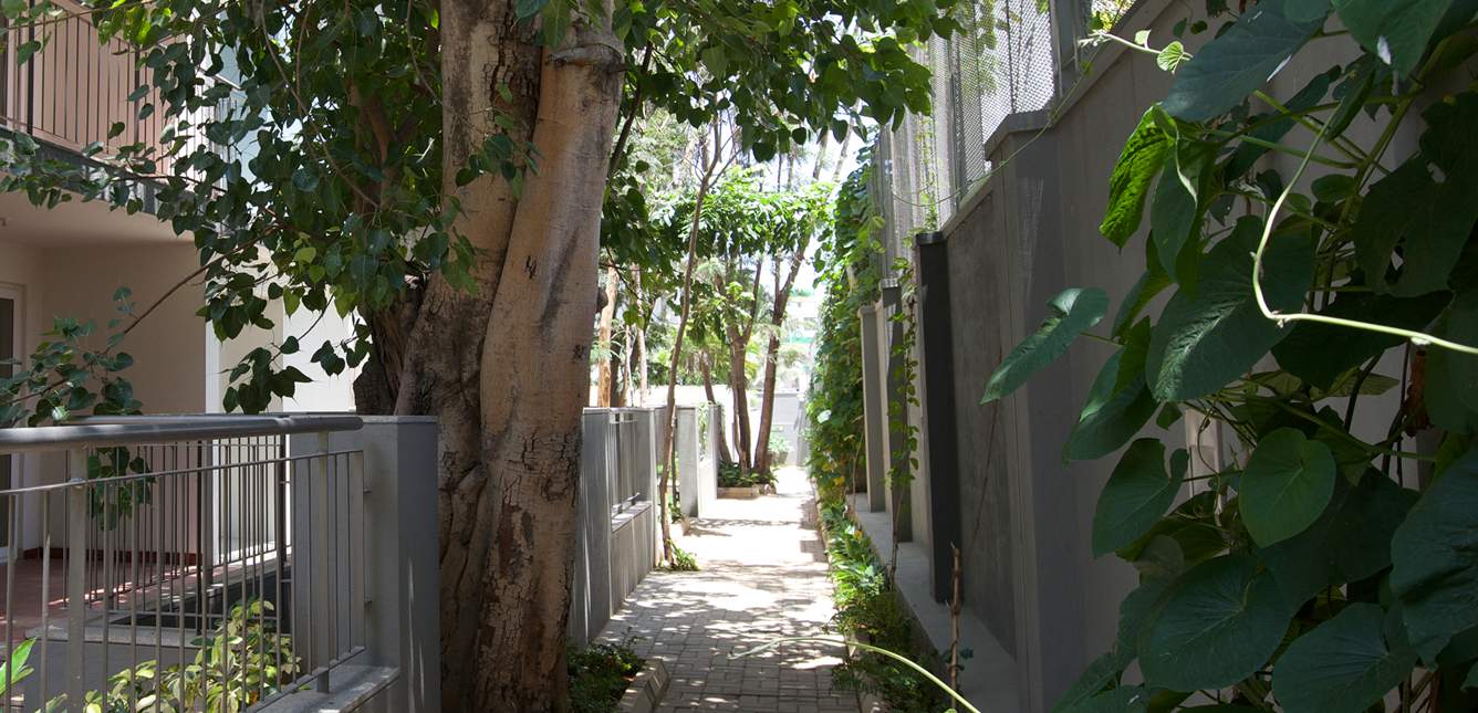 raintree Images for Amenities of Spectra Raintree