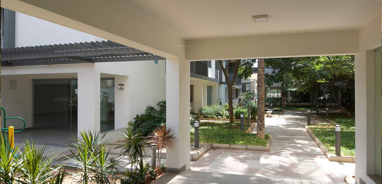 raintree Images for Amenities of Spectra Raintree