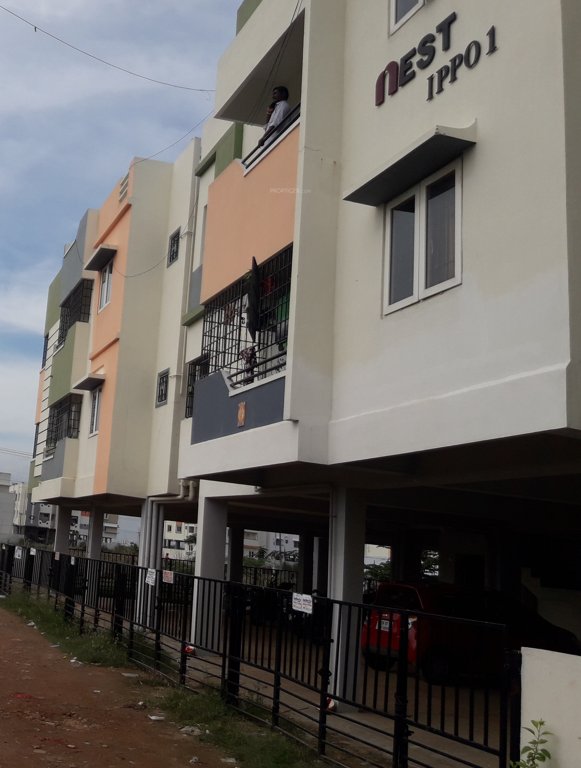  ippo Images for Project