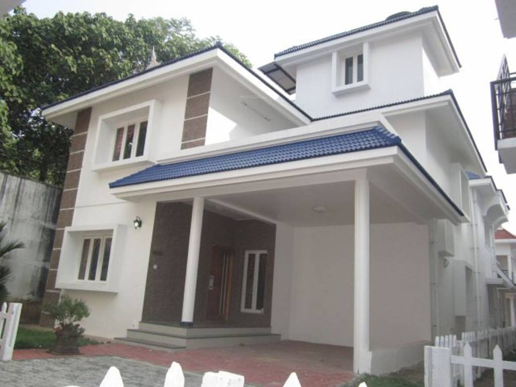 Images for Elevation of Confident Bellatrix