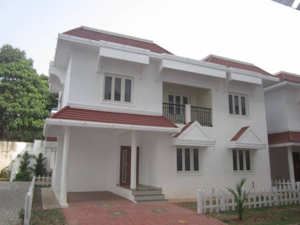 Images for Elevation of Confident Bellatrix