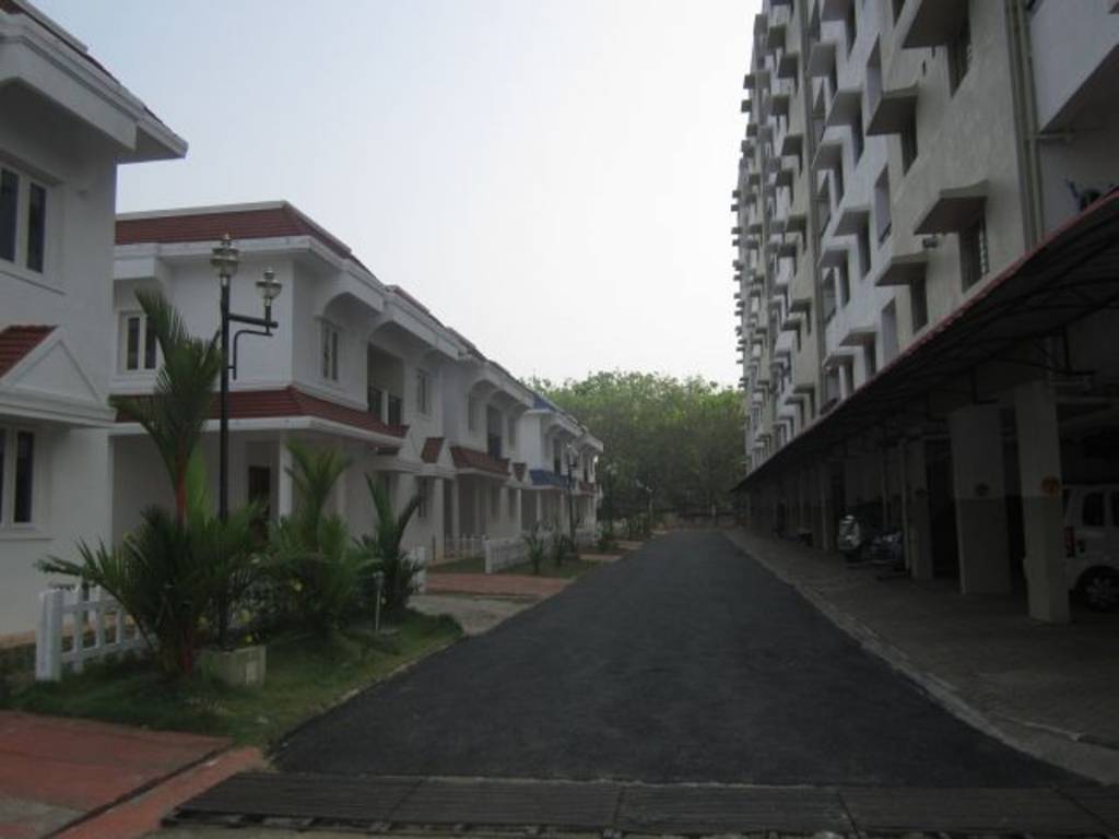 Images for Elevation of Confident Bellatrix