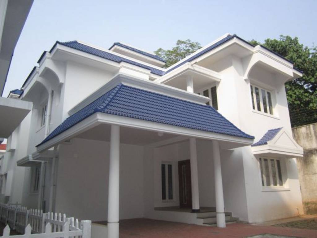 Images for Elevation of Confident Bellatrix