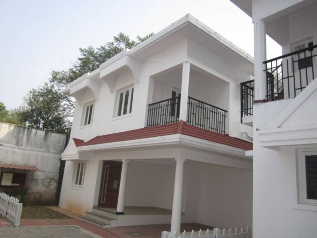 Images for Elevation of Confident Bellatrix