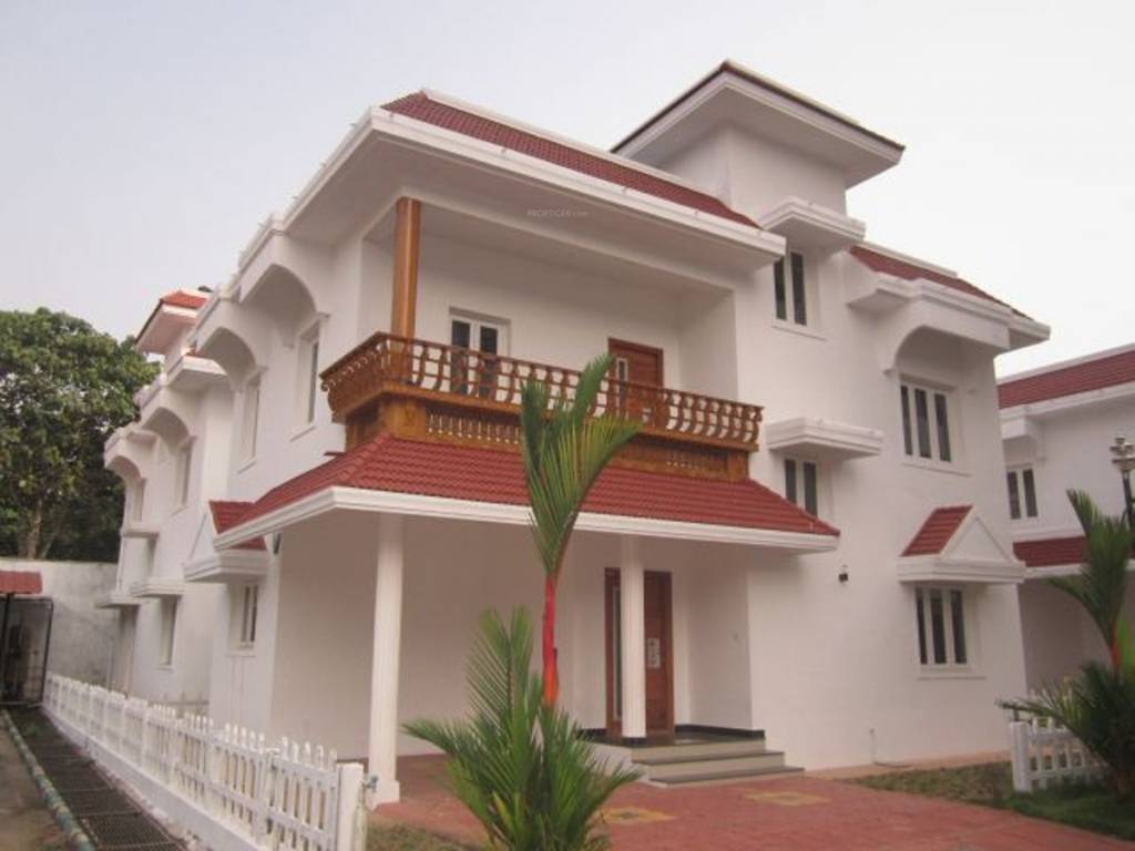 Images for Elevation of Confident Bellatrix