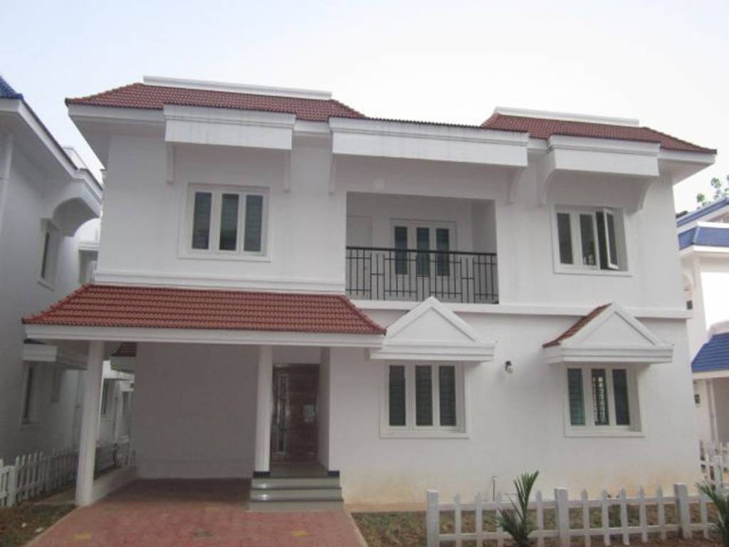 Images for Elevation of Confident Bellatrix