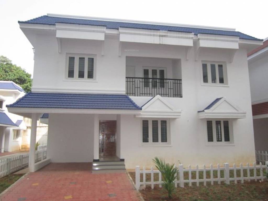 Images for Elevation of Confident Bellatrix