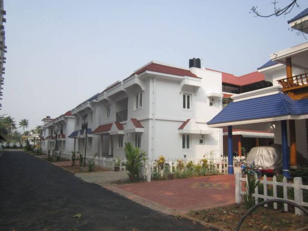 Images for Elevation of Confident Bellatrix