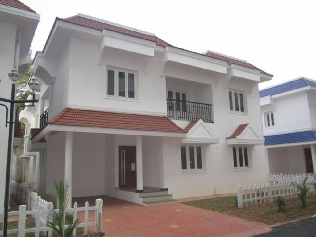 Images for Elevation of Confident Bellatrix