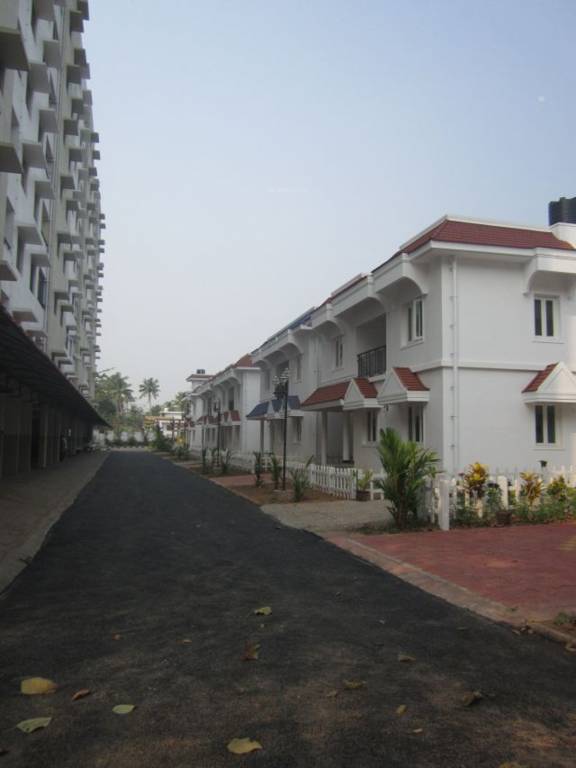 Images for Elevation of Confident Bellatrix