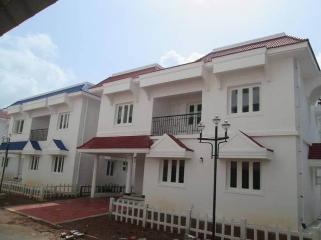 Images for Elevation of Confident Bellatrix