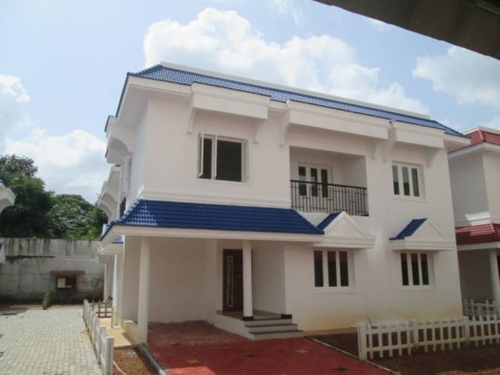 Images for Elevation of Confident Bellatrix