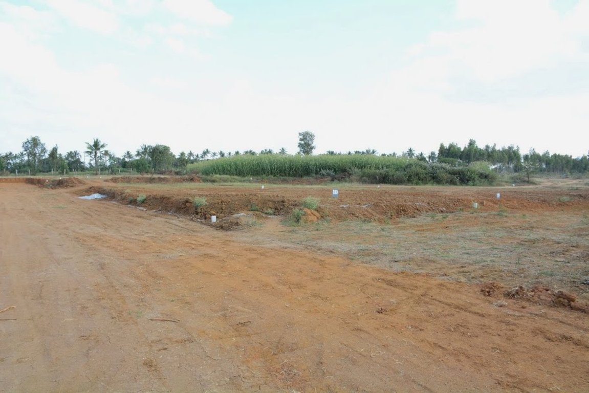 Images for Main Other of Golden Serenity