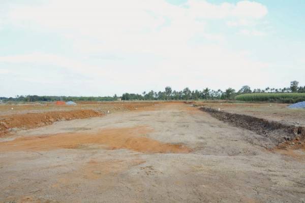 Images for Main Other of Golden Serenity