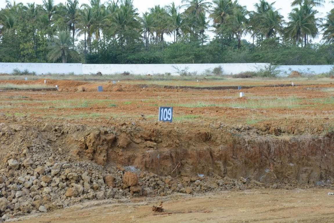 Images for Main Other of Golden Serenity