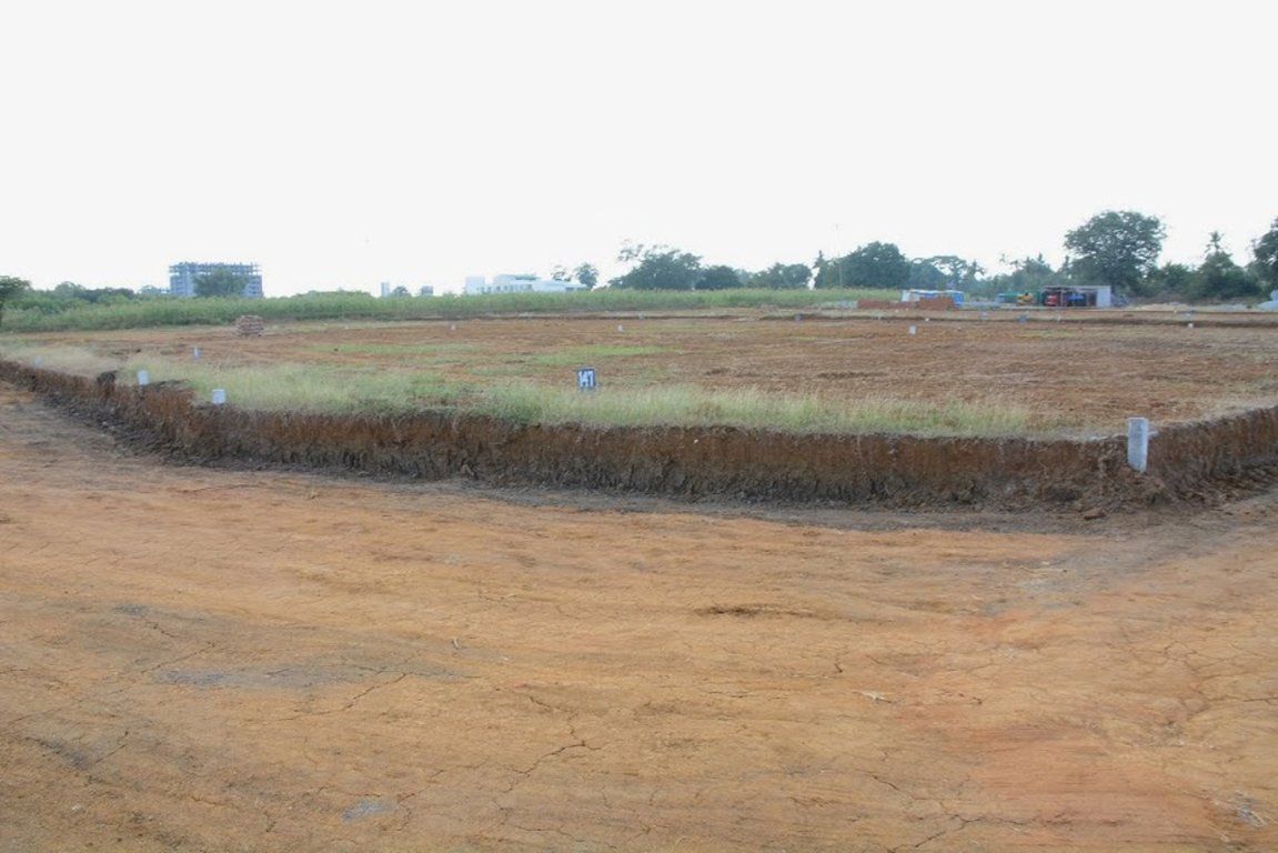 Images for Main Other of Golden Serenity