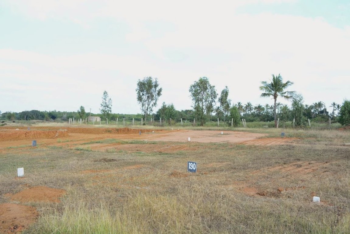 Images for Main Other of Golden Serenity