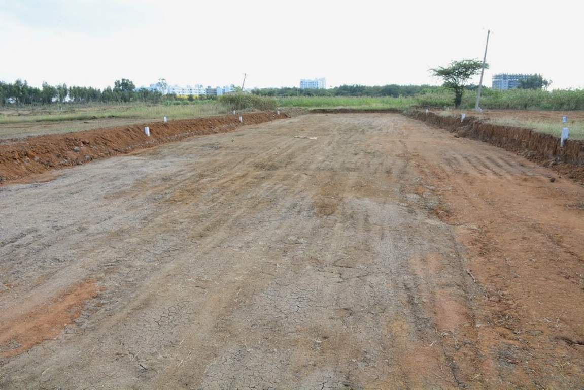 Images for Main Other of Golden Serenity