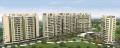 Balaji Realty Metro Jazz