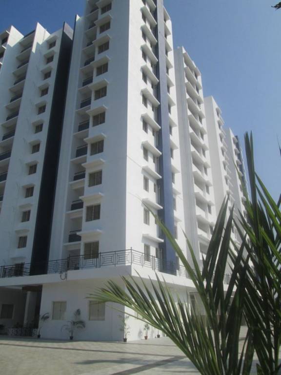 Images for Elevation of Confident Bellatrix Phase 3