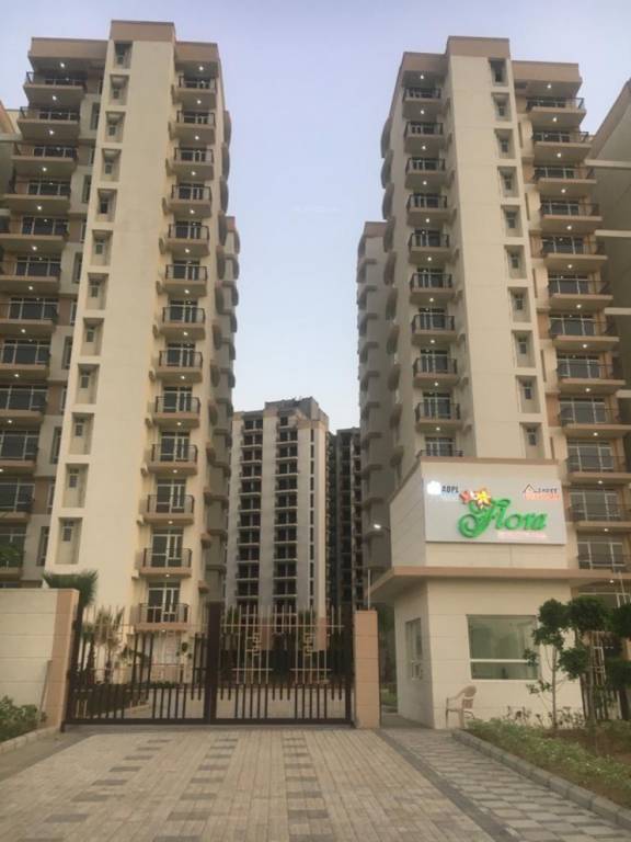 Elevation flora Elevation