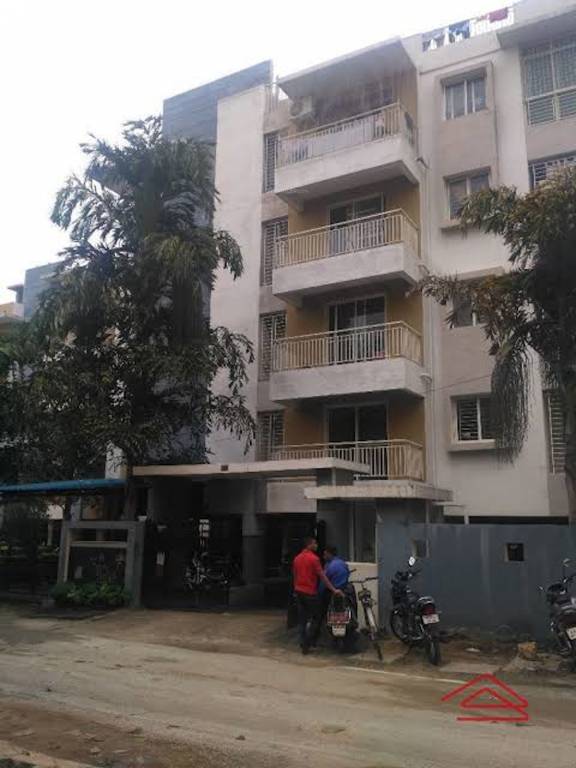  humming bees Elevation