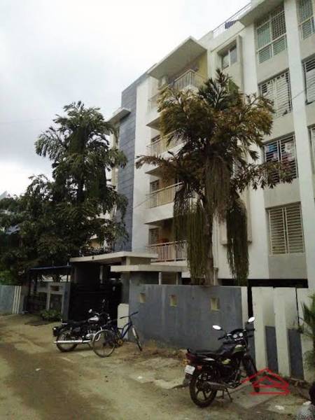 Elevation humming-bees Elevation